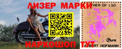 гидра Берёзовский